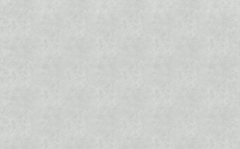 Papier peint COPACABANA coloris gris perle