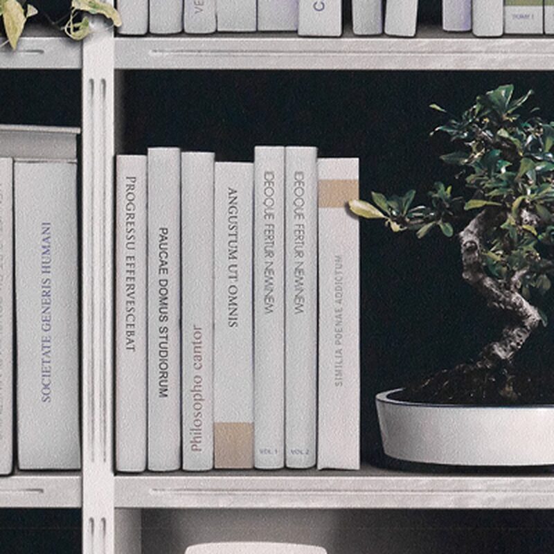Papier peint intissé BIBLIOTHEQUE ECLAIREE coloris blanc