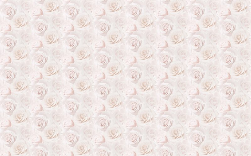 Papier peint LIT DE ROSES coloris rose tendre