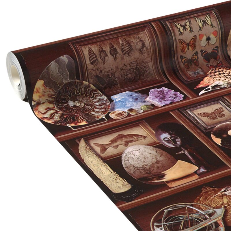 Papier peint vinyle CABINET DE CURIOSITE coloris wengé