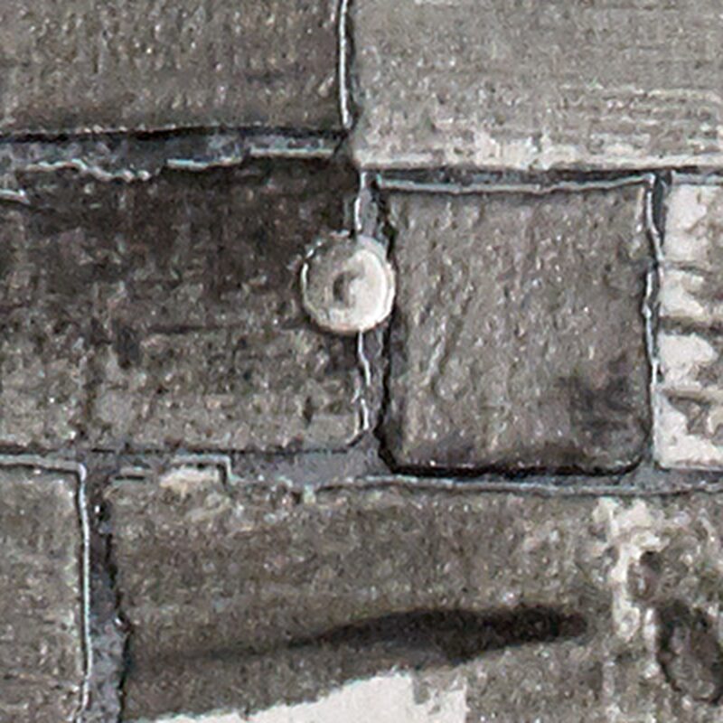Papier peint vinyle BETON WOOD coloris gris béton