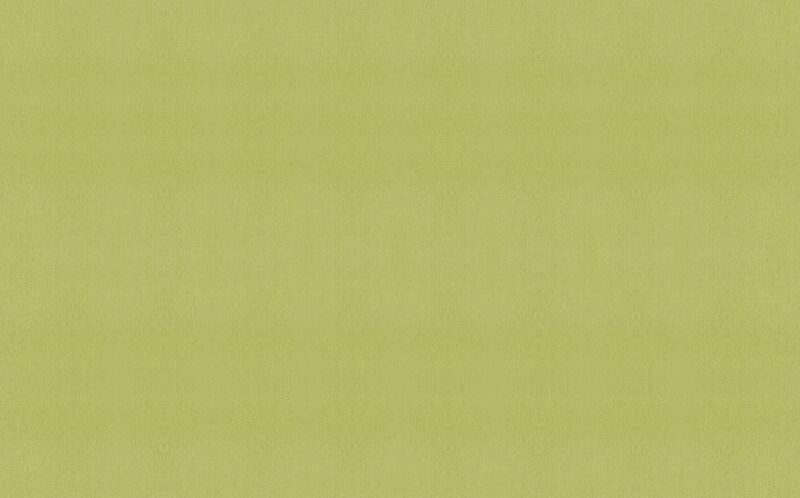 Papier peint intissé CALICO coloris vert printemps
