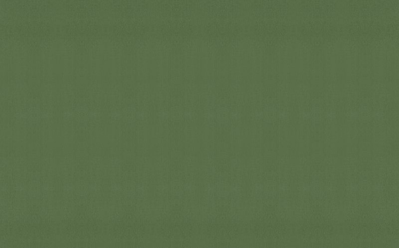 Papier peint intissé CALICO coloris vert feuille