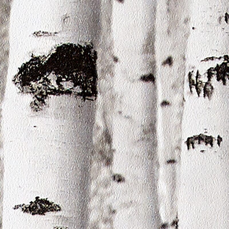 Papier peint FORÊT DE BOULEAUX coloris gris perle