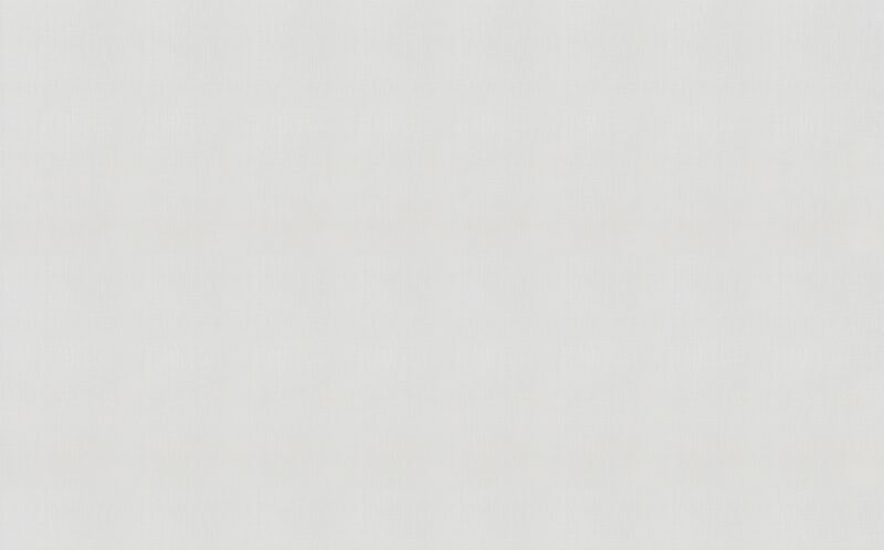 Papier peint intissé PAPAL coloris blanc