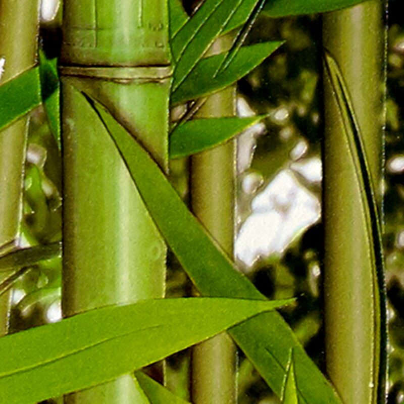 Papier peint vinyle SUMATRA coloris vert bambou
