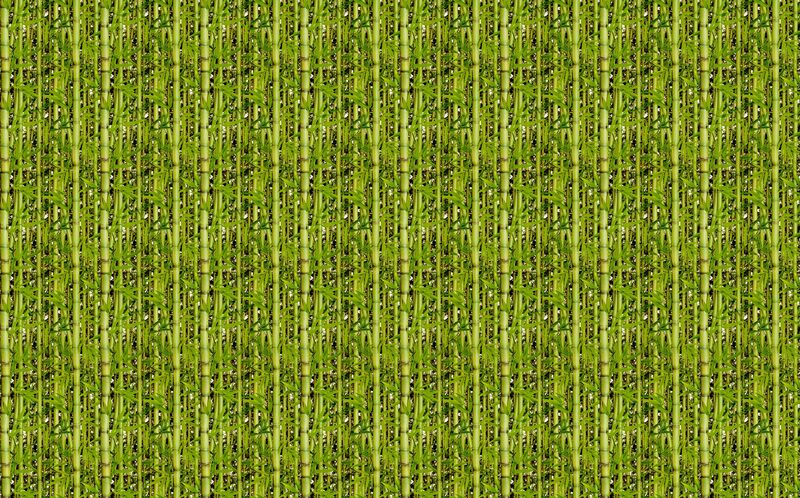 Papier peint vinyle SUMATRA coloris vert bambou