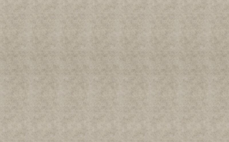 Papier peint intissé ALABAMA coloris taupe