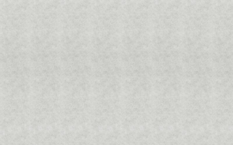 Papier peint intissé ALABAMA coloris gris perle
