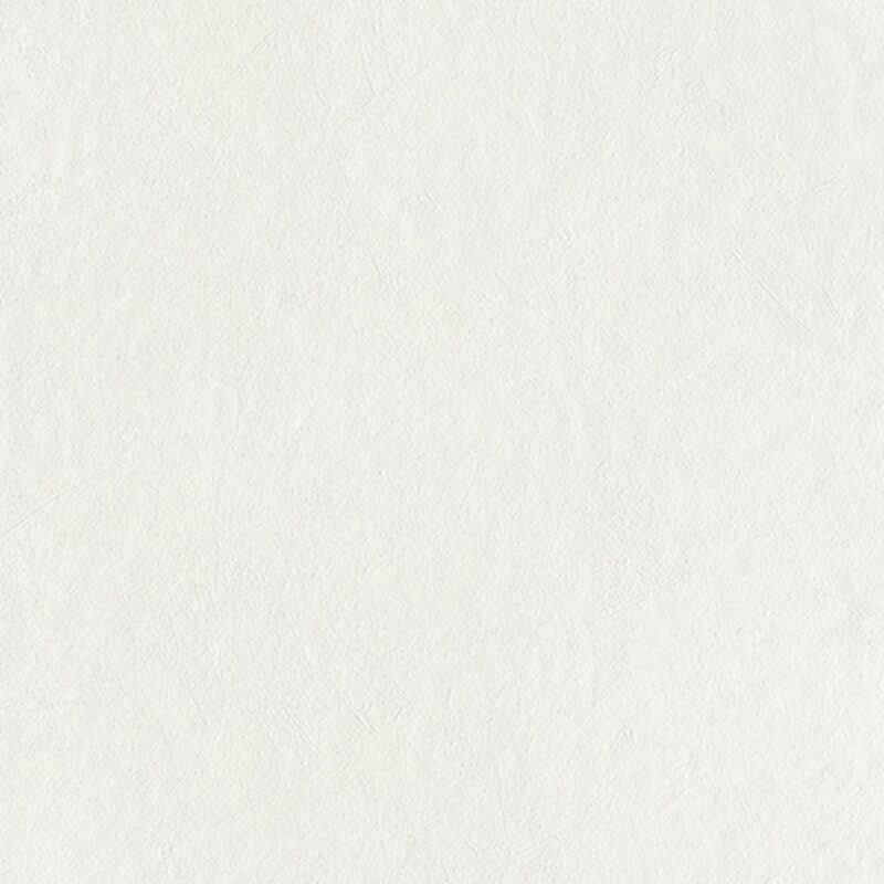 Papier peint intissé ALABAMA coloris blanc