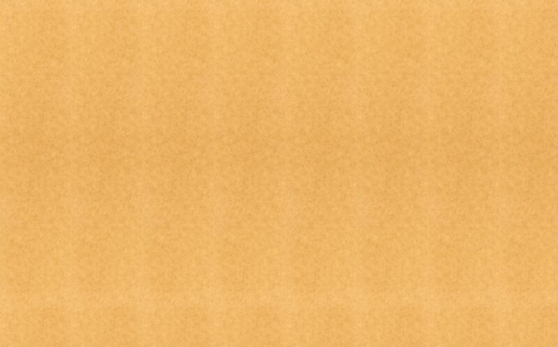 Papier peint intissé ALABAMA coloris curry