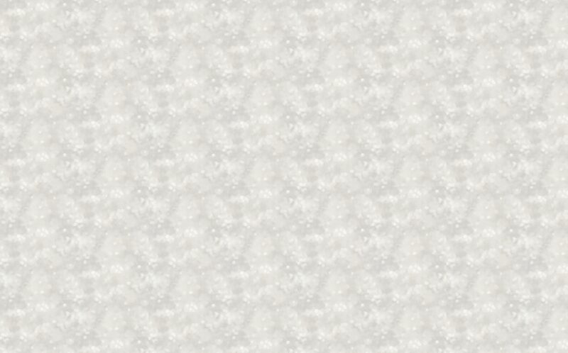 Papier peint intissé LIGHT coloris Gris clair