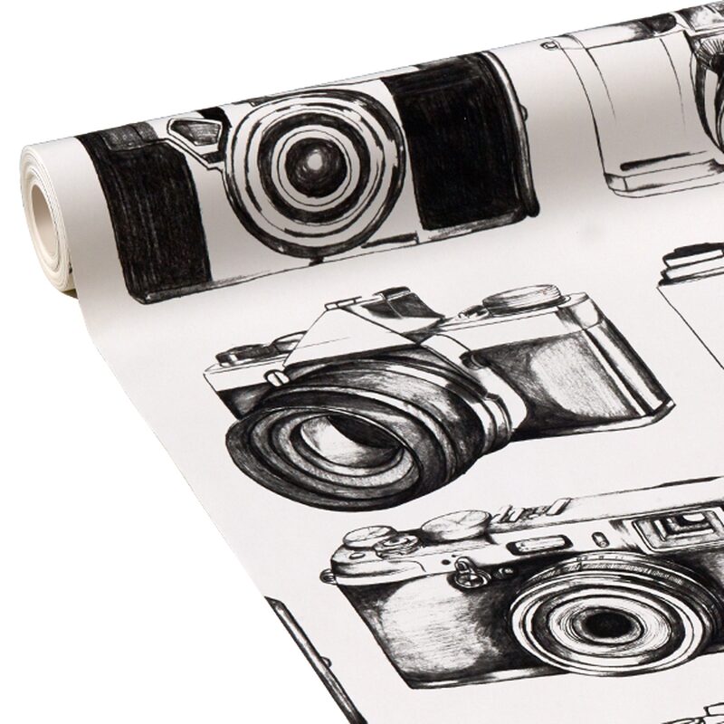 Papier peint CAMERA BLACK coloris blanc