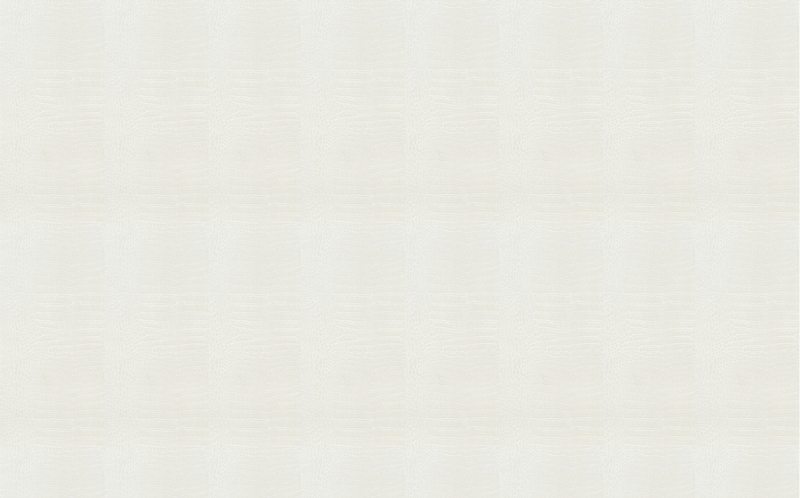 Papier peint intissé CROCO STYLE coloris blanc