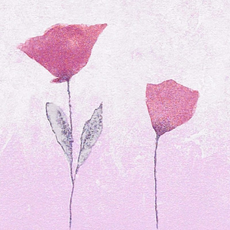 Frise ALYSSIA coloris rose guimauve