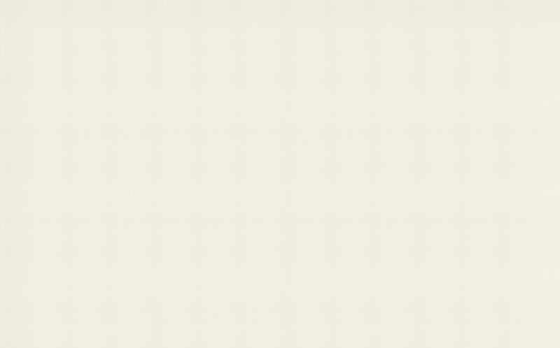 Papier peint vinyle EVEREST coloris blanc