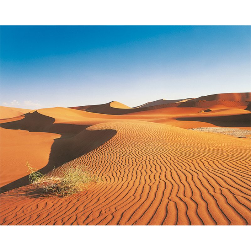 Papier peint panoramique XXL SAHARA 325,5 x 260 cm
