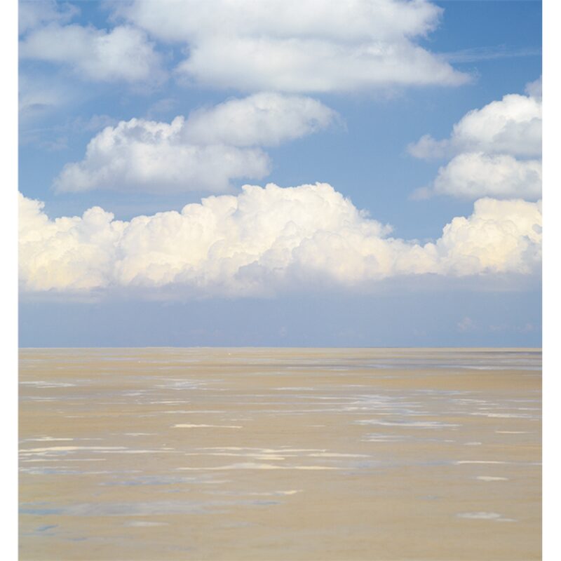 Papier peint panoramique L SERENITE 232,5 x 250 cm