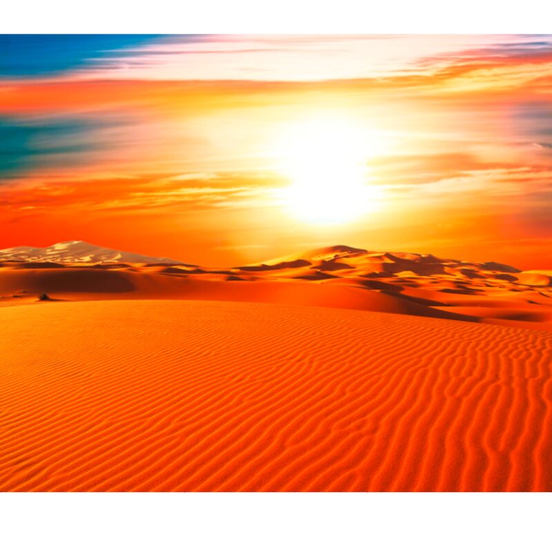 Papier peint panoramique XL DUNE 300 x 250 cm