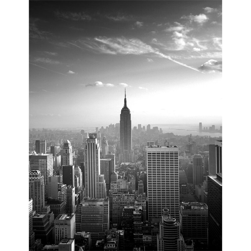 Papier peint panoramique L EMPIRE STATE VIEW 200 x 260 cm