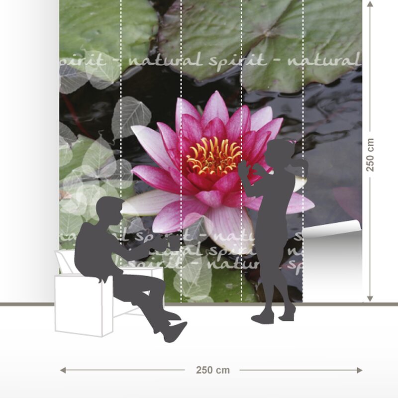 Papier peint panoramique XL WATER LILY 250 x 250 cm