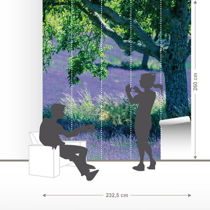Papier peint panoramique L PROVENCIA 232,5 x 260 cm