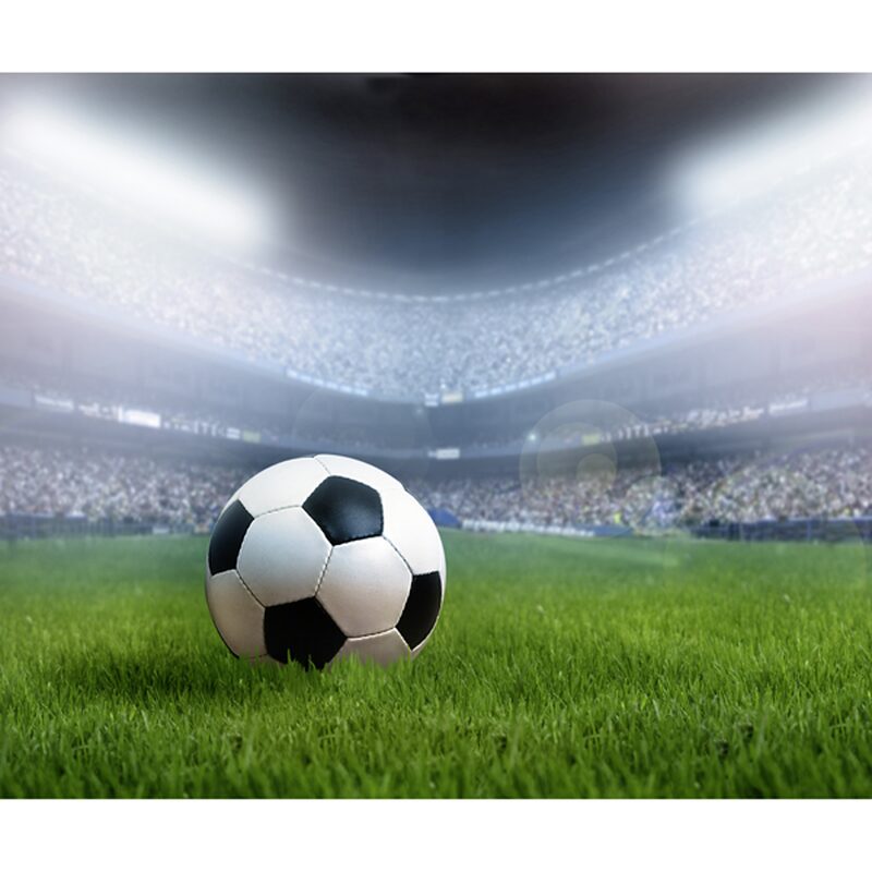Papier peint panoramique XL SOCCER 300 x 250 cm