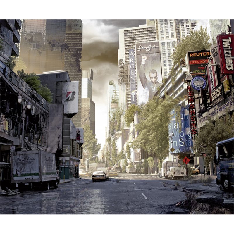 Papier peint panoramique XL SILENCE 300 x 250 cm