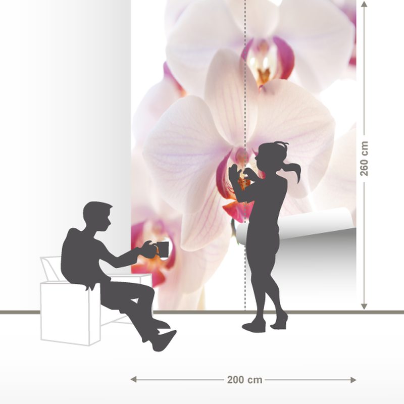 Papier peint panoramique L ORCHID FLOWERS 200 x 260 cm