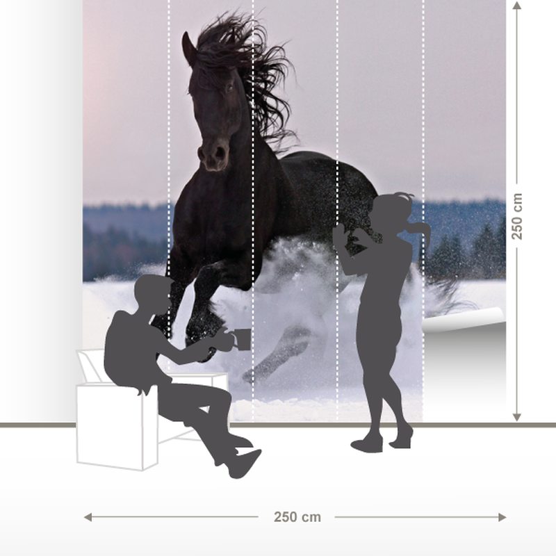 Papier peint panoramique XL FRISON 250 x 250 cm