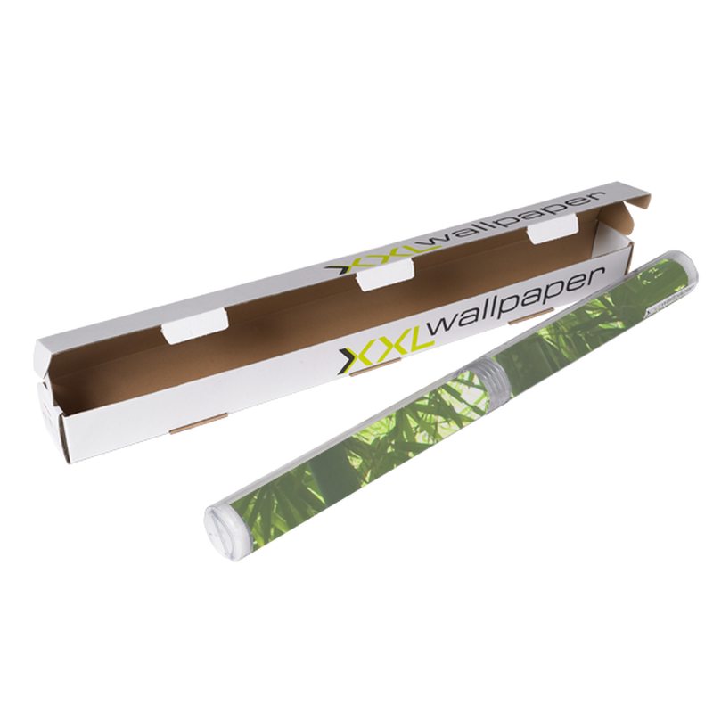 Papier peint panoramique XL BAMBOO FOREST 300 x 250 cm
