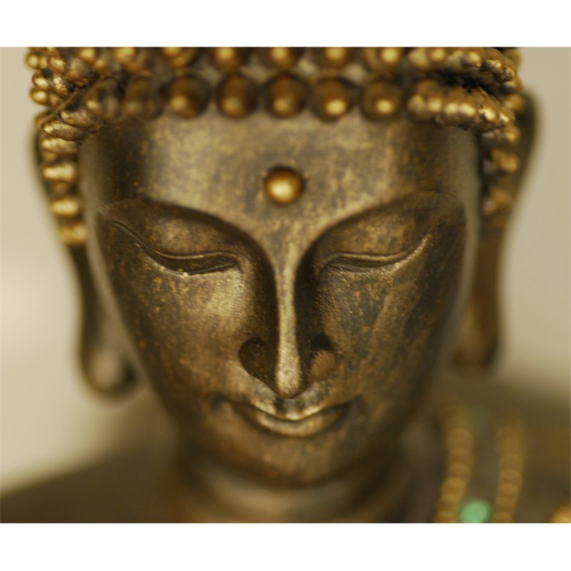 Papier peint panoramique XL BUDDHA IN PORTRAIT 300 x 250 cm