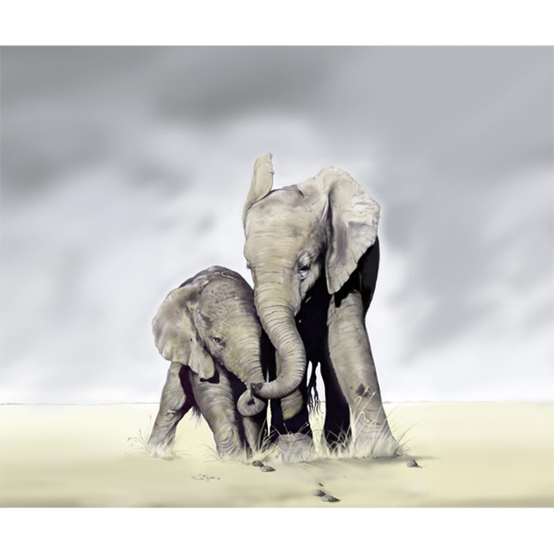 Papier peint panoramique XL ELEPHANT FAMILY 300 x 250 cm