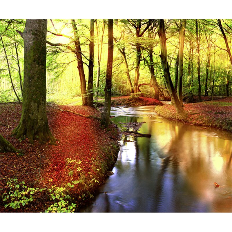 Papier peint panoramique XL FOREST STREAM 300 x 250 cm