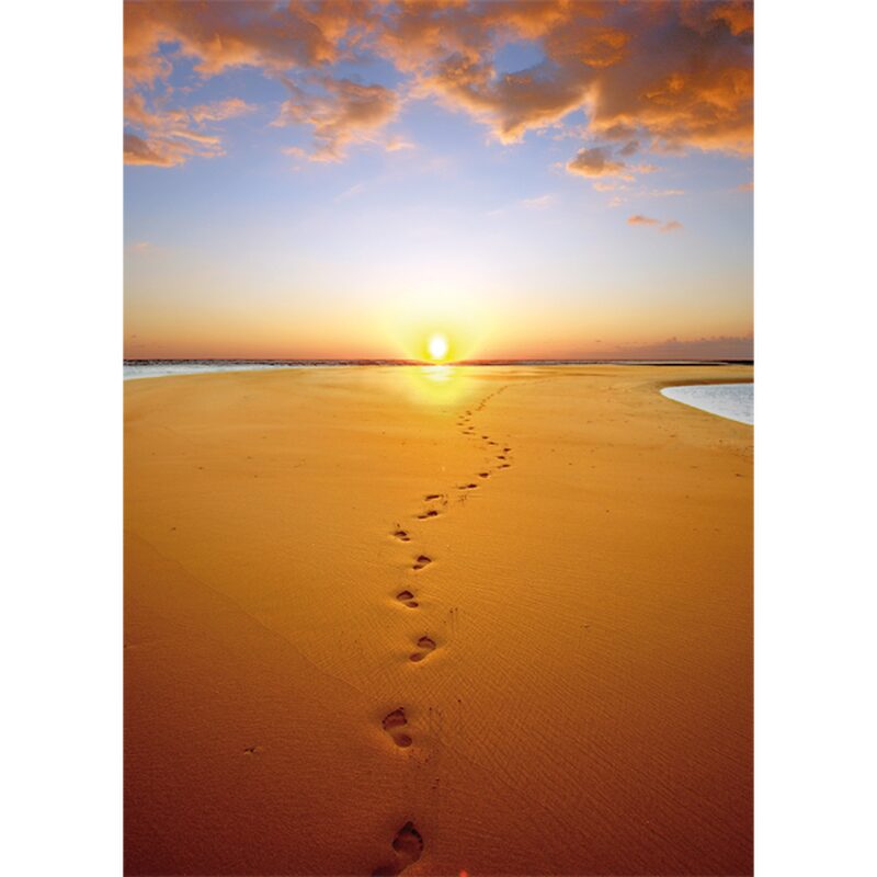 Papier peint panoramique L STEP BY STEP ON THE BEACH 186 x 260 cm