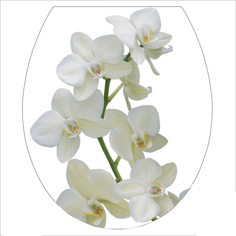 Sticker d'abattant WC PHALAE coloris blanc