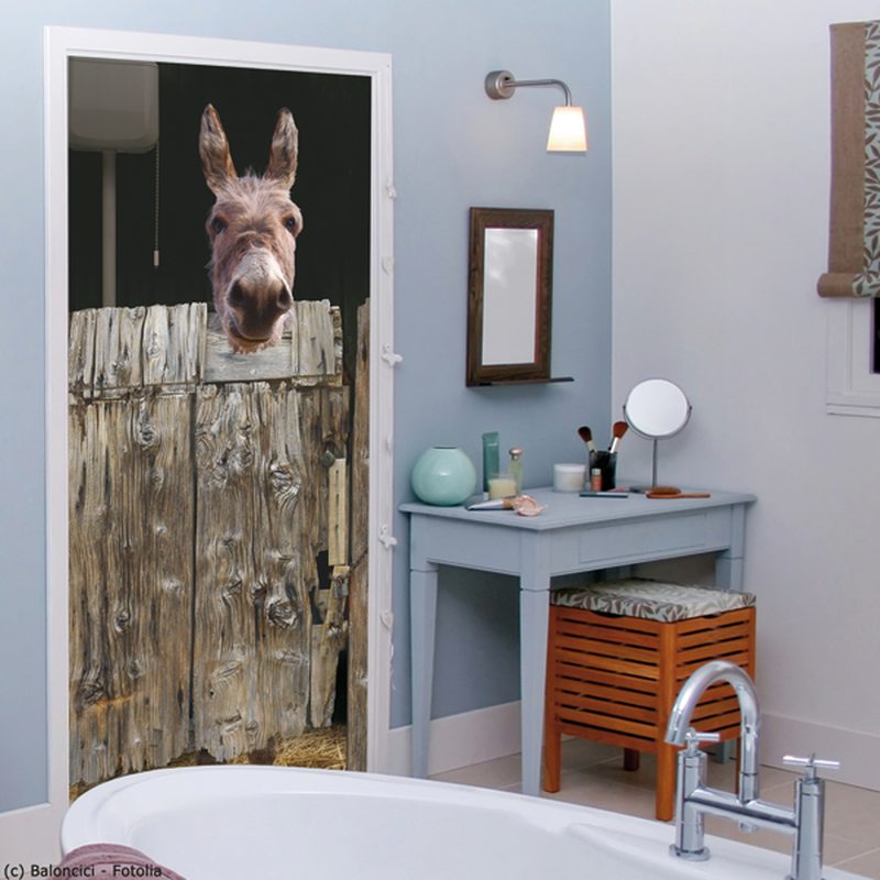 Sticker de porte ANE AUX WC coloris gris perle