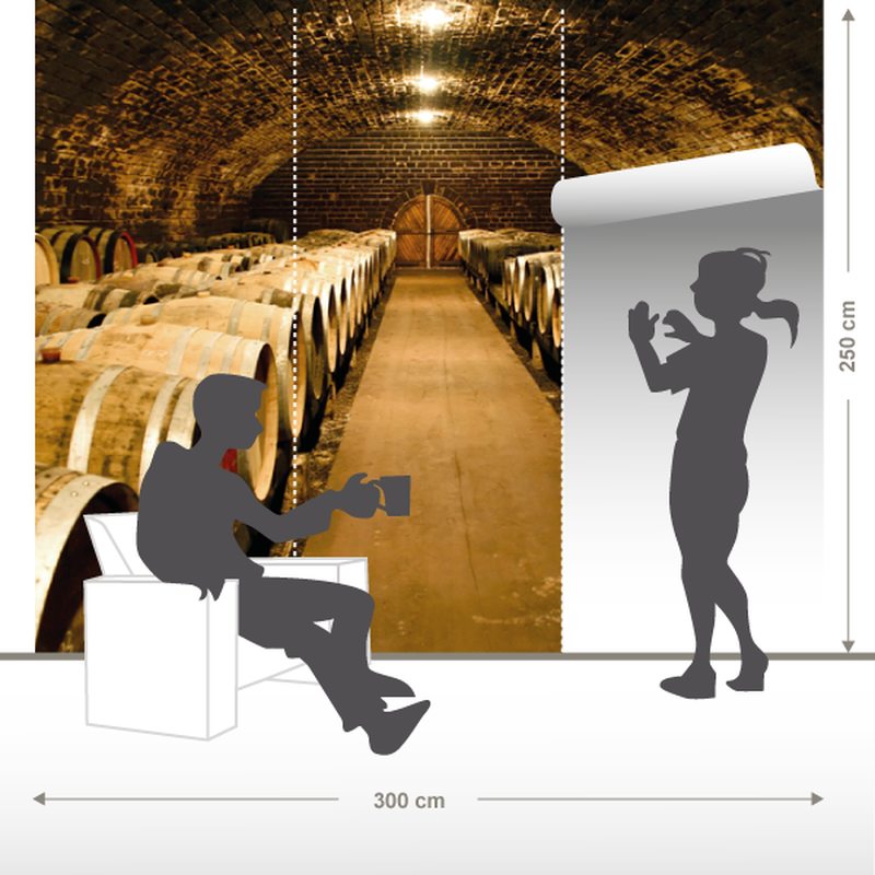 Papier peint panoramique XL CELLAR 300 x 250 cm