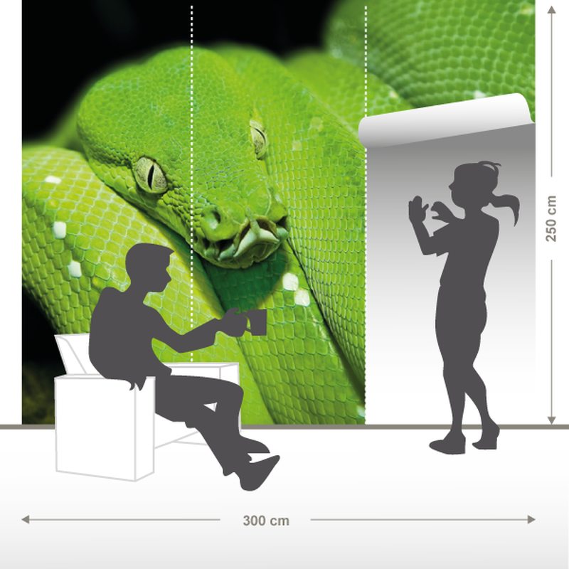 Papier peint panoramique XL GREEN SNAKE 300 x 250 cm