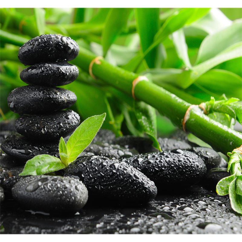 Poster extra large NATURE BAMBOO 300 x 280 cm