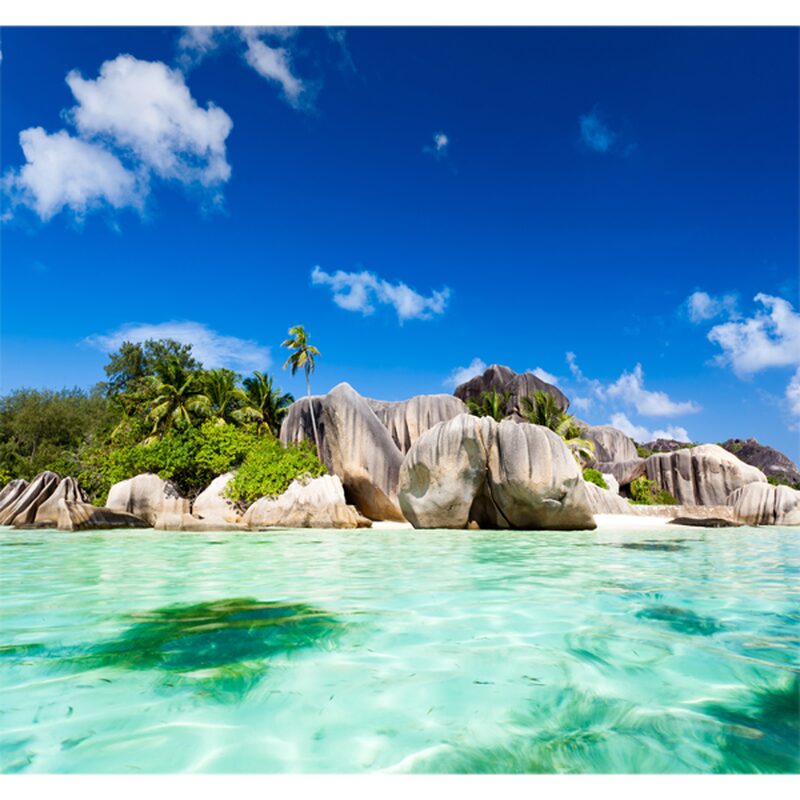 Poster extra large PARADISE ISLAND 300 x 280 cm