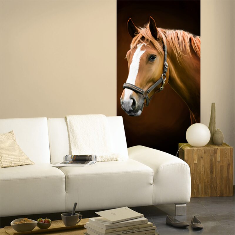 Poster de porte DENVER 88 x 200 cm