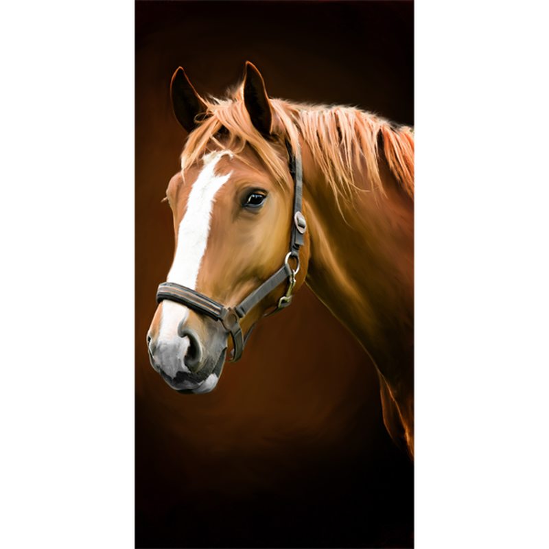 Poster de porte DENVER 88 x 200 cm
