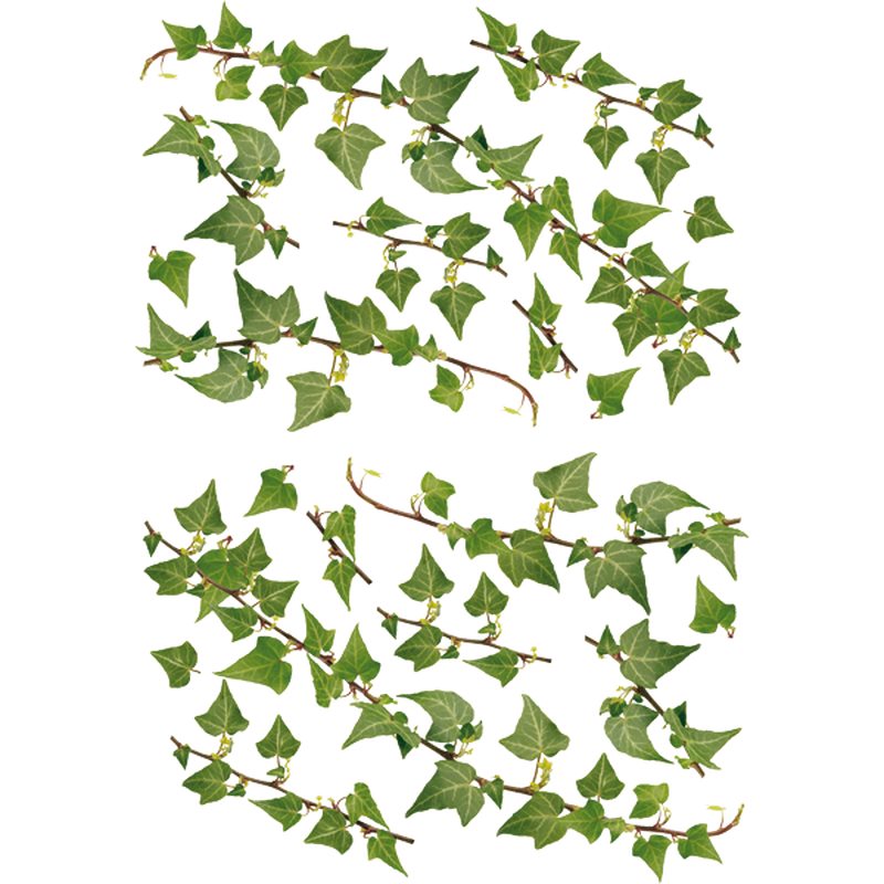 Sticker NATURE coloris vert lierre