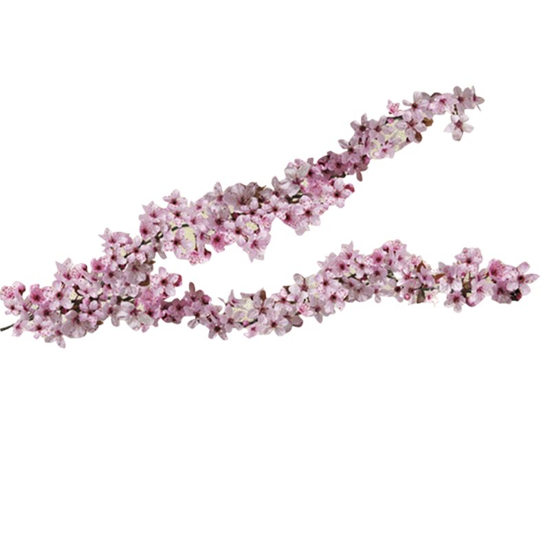 Sticker NOISETIER coloris rose églantine