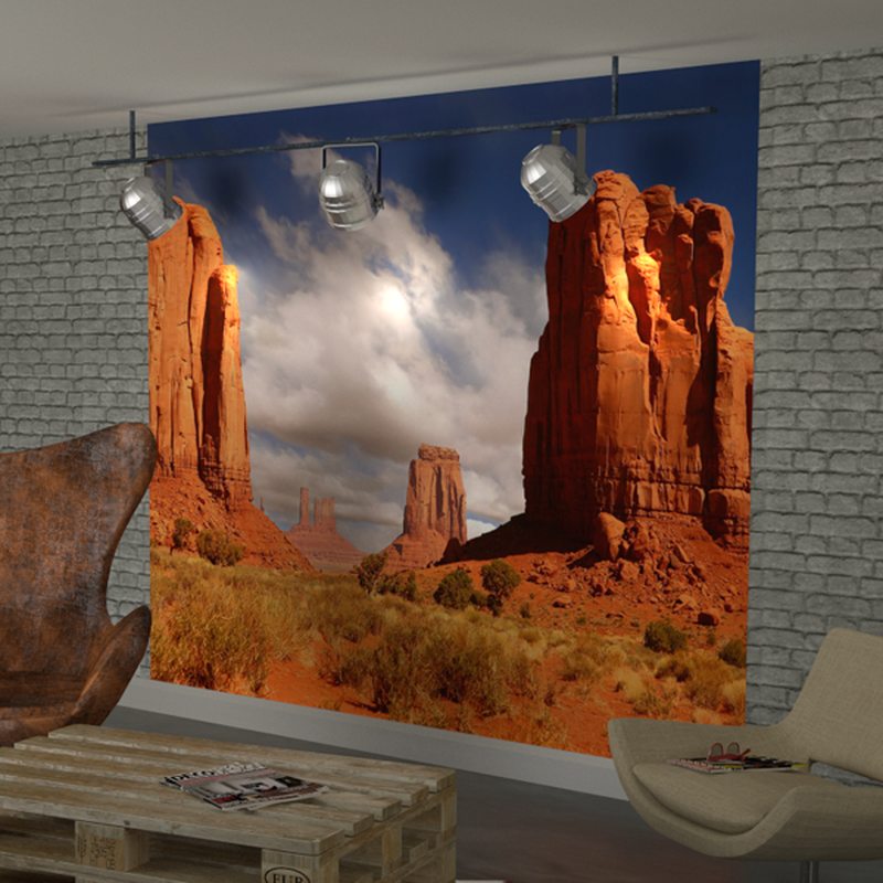 Papier peint panoramique XL CANYON 300 x 250 cm