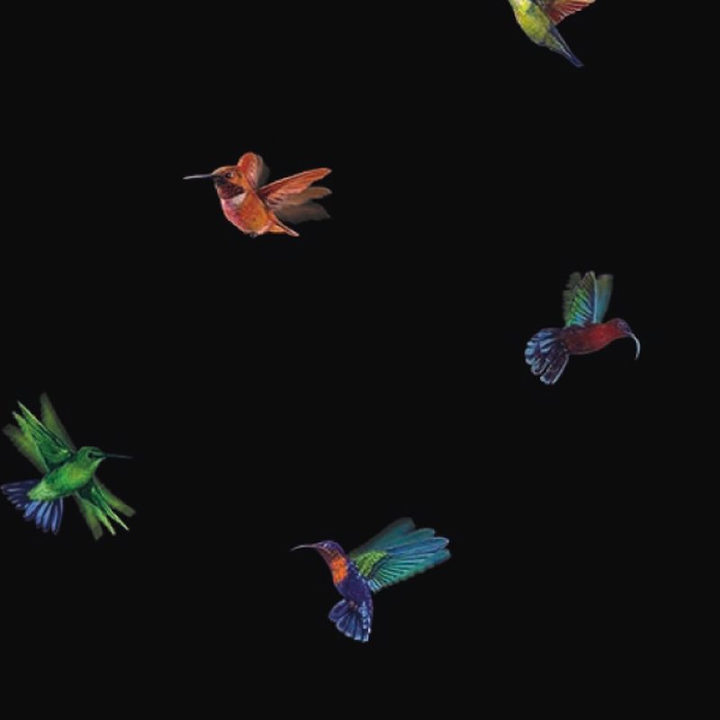 Décor mural numérique Lé unique COLIBRI 75 x 300 cm