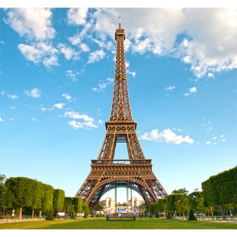 Poster extra large PARIS TOUR EIFFEL 300 x 280 cm
