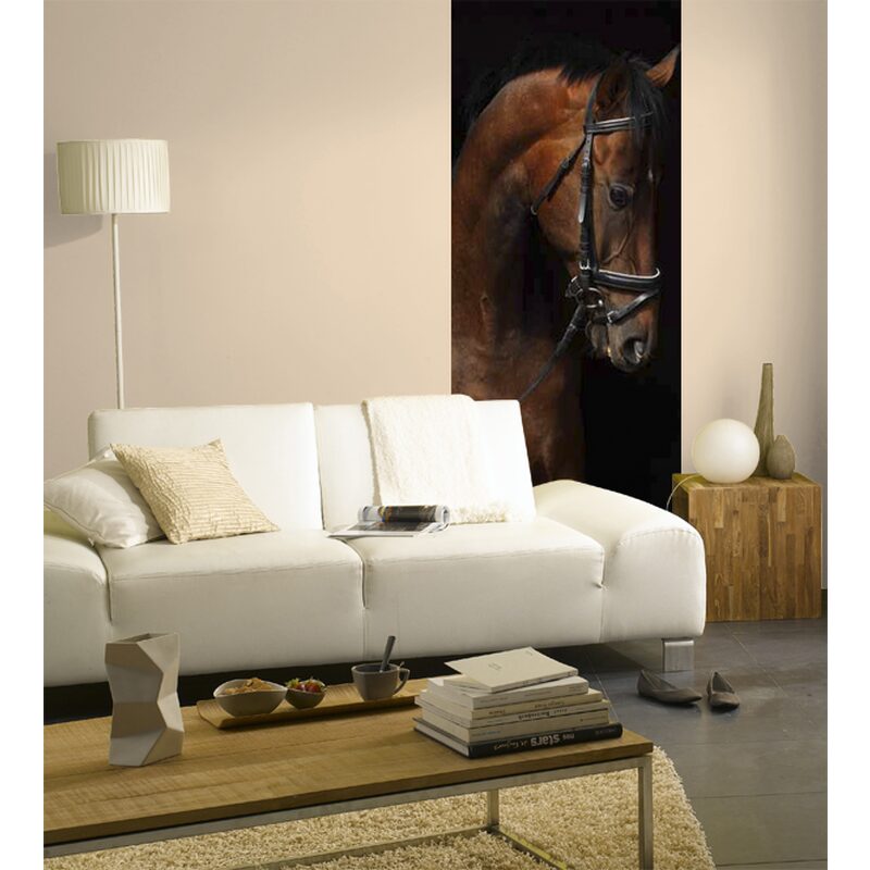 Poster de porte CHEVAL AU BOX 88 x 200 cm