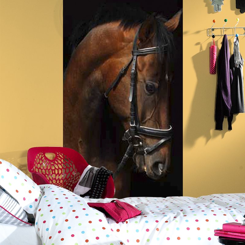 Poster de porte CHEVAL AU BOX 88 x 200 cm